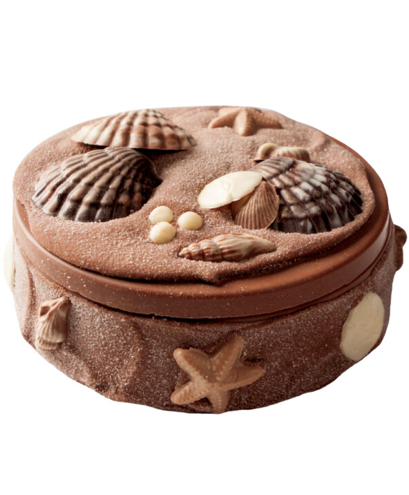Sea Shell