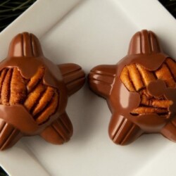 Debrandfinechoc 1701529327 3248985918823090789 241061171