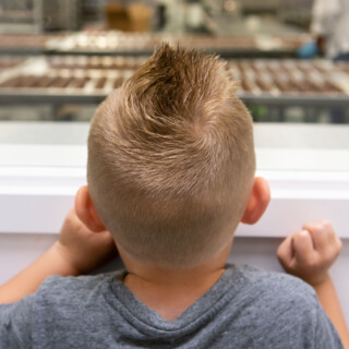 Jax in Kitchen Window 2