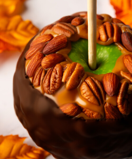 Dark Nut Lifestyle
