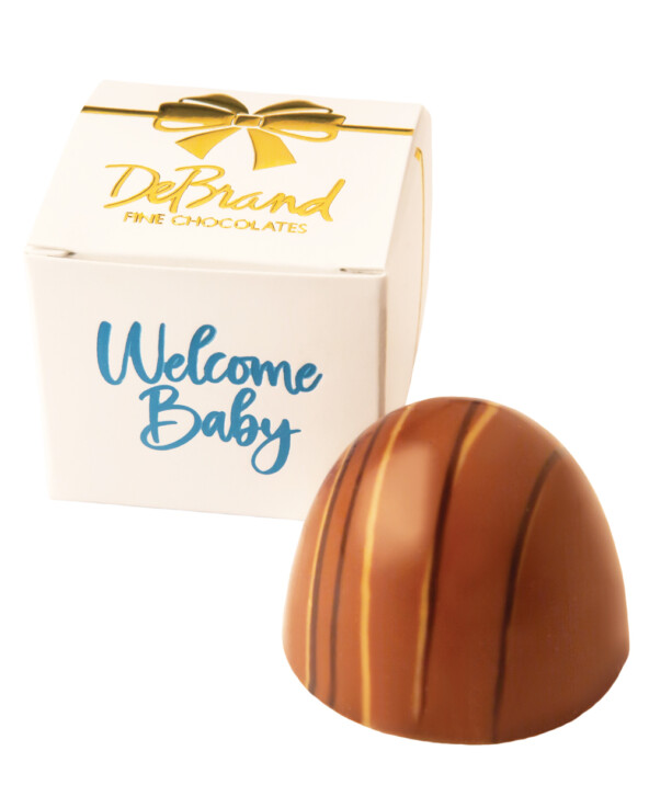 Baby Boy 1pc Truffle