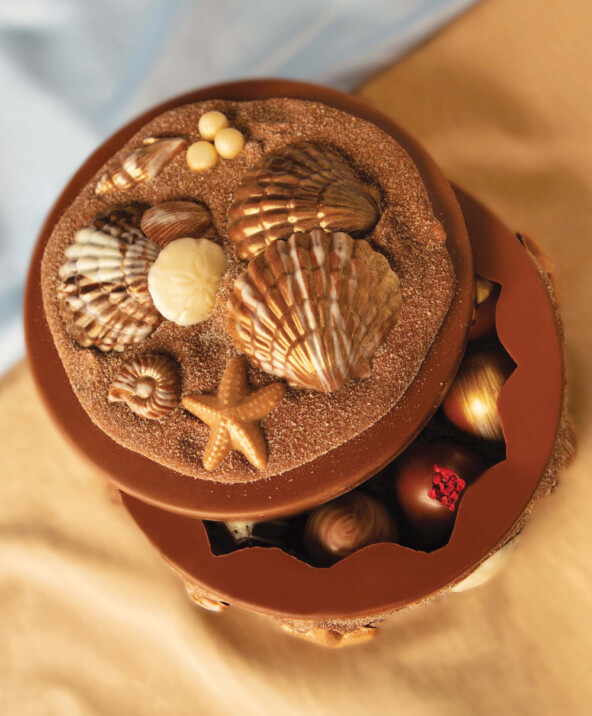 Sea Shell