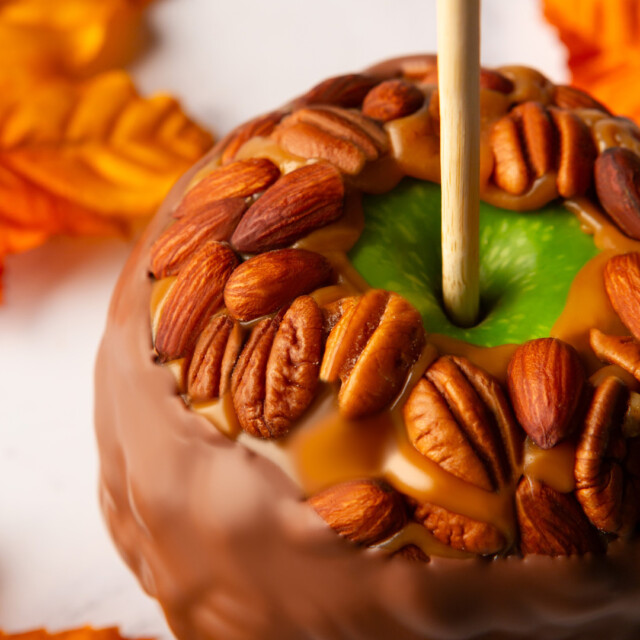 Apple Spotlight Image