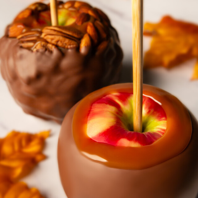 Honeycrisp Apple Spotlight Image